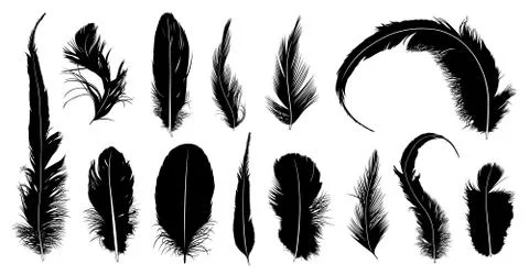 Set of different feathers Stock Illustration