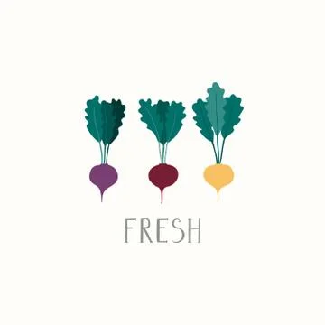 Set of different flat beetroots Illustrazione stock