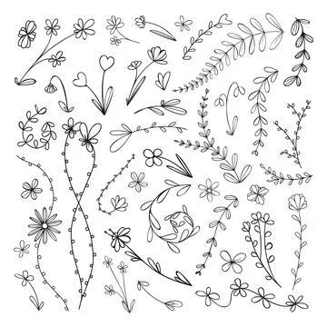 Set of different flowers, branches, leaves and other plant elements. Sketch 스톡 일러스트