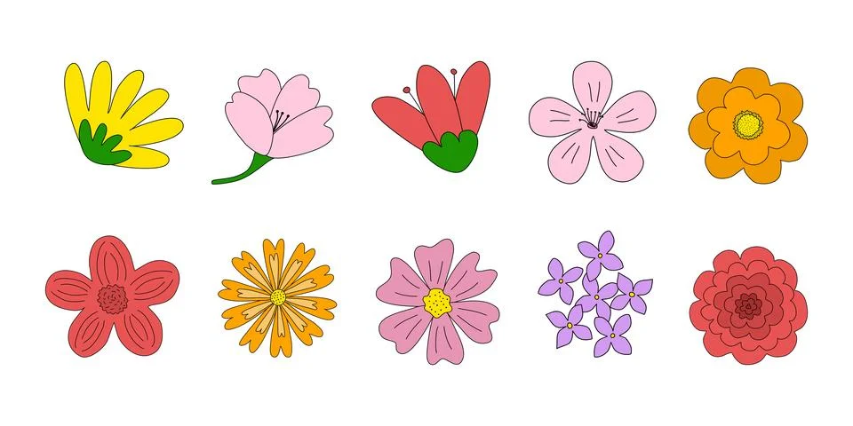 Set of different flowers heads, spring design elements, doodle style vector 库存插图
