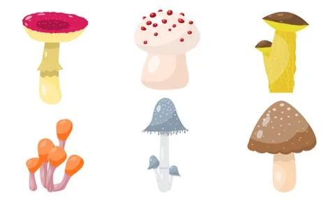 Set of different forest mushrooms and toadstools. Vector illustration in flat Stock Illustration