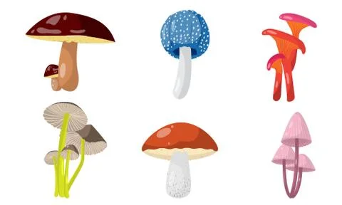 Set of different forest mushrooms and toadstools. Vector illustration in flat Illustrazione stock
