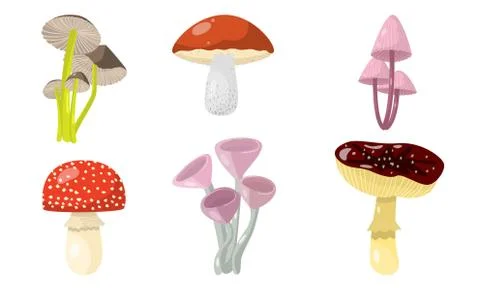 Set of different forest mushrooms and toadstools. Vector illustration in flat Illustrazione stock