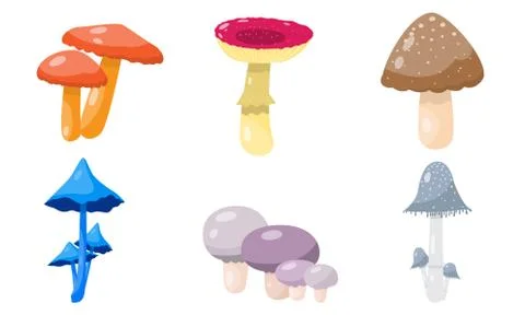 Set of different forest mushrooms and toadstools. Vector illustration in flat Stock Illustration