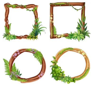 Set of different frames of liana branches and leaves Stockillustratie
