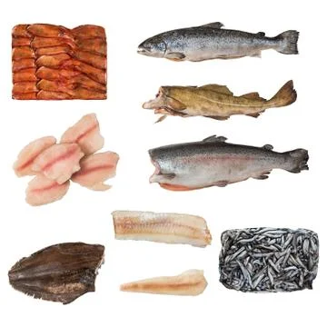 Set of a different frozen fish Foto stock
