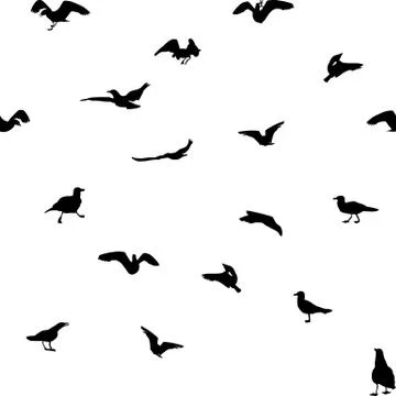 Set of different gull silhouettes. Flying, eating, going, taking off. Seamless Stock Illustration