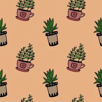 Set of different hand drawn house plants in pots. Isolated decorative plants: Stock Illustration