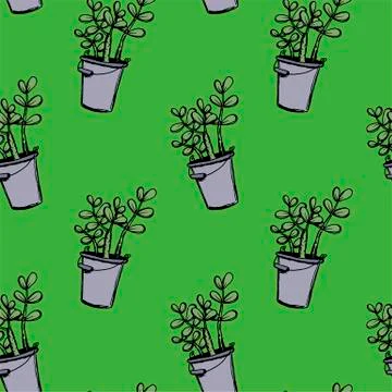 Set of different hand drawn house plants in pots. Isolated decorative plants: Stock Illustration