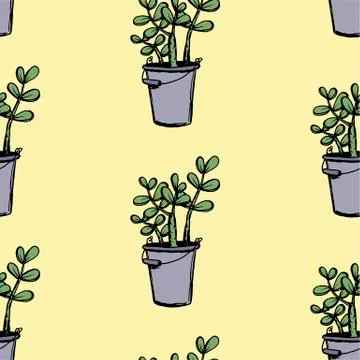 Set of different hand drawn house plants in pots. Isolated decorative plants: Stock Illustration