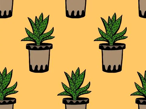 Set of different hand drawn house plants in pots. Isolated decorative plants: Stock Illustration