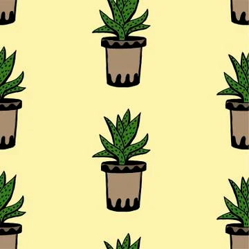 Set of different hand drawn house plants in pots. Isolated decorative plants: Stock Illustration