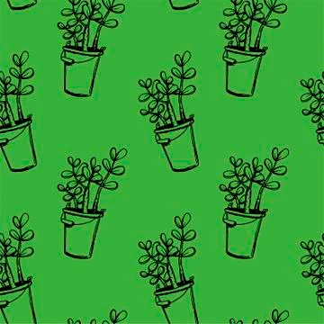 Set of different hand drawn house plants in pots. Isolated decorative plants: Stock Illustration