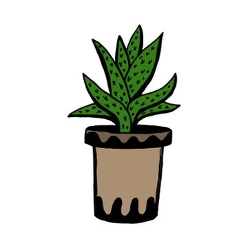 Set of different hand drawn house plants in pots. Isolated decorative plants: Stock Illustration