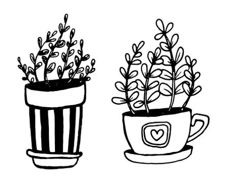 Set of different hand drawn house plants in pots. Isolated decorative plants: Stock Illustration