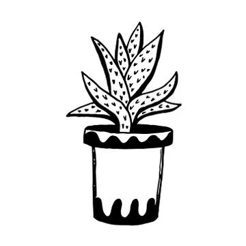 Set of different hand drawn house plants in pots. Isolated decorative plants: Stock Illustration