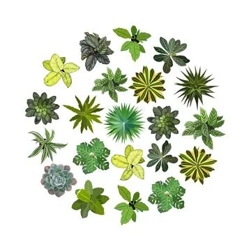 Set of different house plants top view vector. Stock Illustration