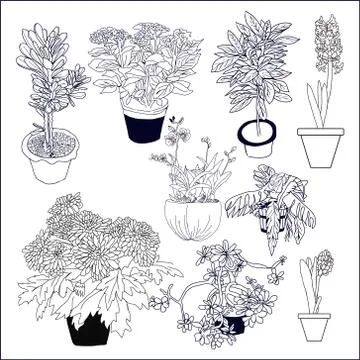 Set of different house plants on white background Stock Illustration