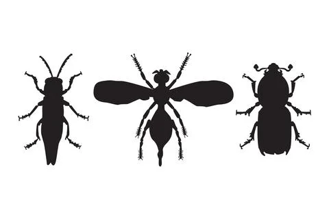 Set of different insect silhouette isolated on white background. Stock Illustration
