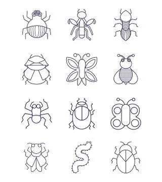 Set of different insects or bugs small animals linear style Stock Illustration