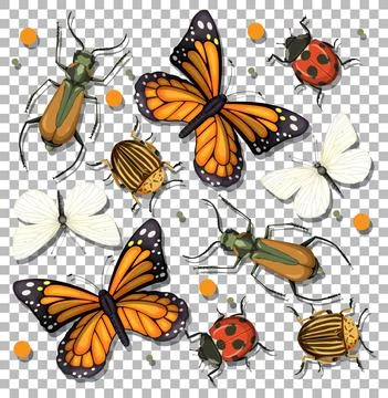 Set of different insects on transparent background Stock Illustration