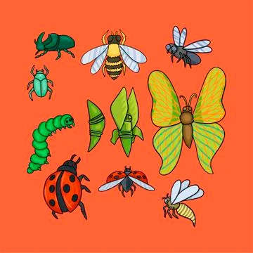 Set of different insects. Vector drawing illustration Stock Illustration