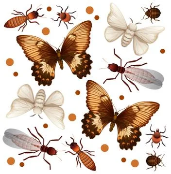 Set of different insects on white background Stock Illustration