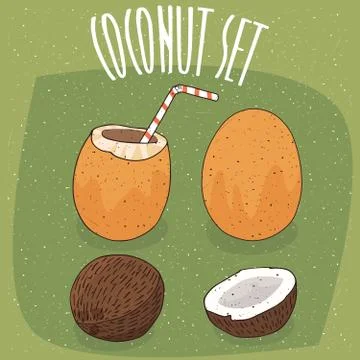Set of different isolated coconuts with straw Stock Illustration