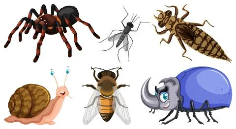 Set of different kinds of insects Illustrazione stock