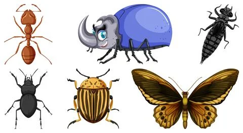 Set of different kinds of insects Illustrazione stock