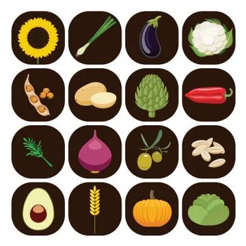 Set of different kinds of vegetables. Stock Illustration