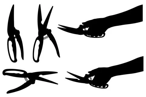 Set of different kitchen scissors Stock Illustration