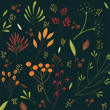 Set of different leaves and plants Autumn. Stock Illustration