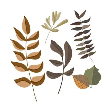 Set of different leaves in the form of a herbarium Stock Illustration