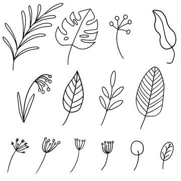 Set of different leaves in hand drawn doodle style. Autumn vector line Stock Illustration