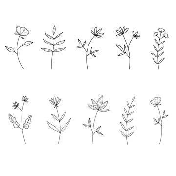 Set of different monochrome hand drawn plants and branches vector images Stock Illustration