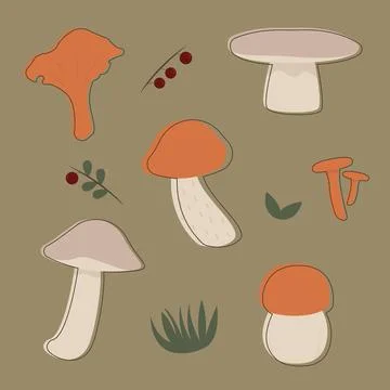 Set of different mushrooms Stock Illustration