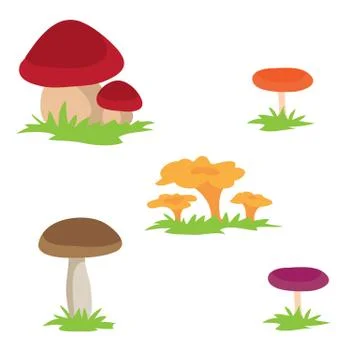 Set of different mushrooms, isolated object on white background, vector illus Stock Illustration