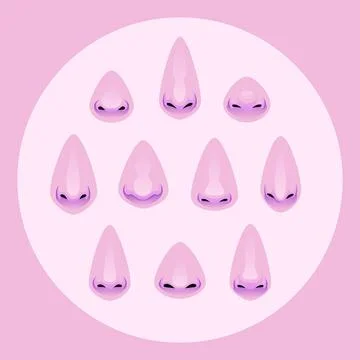 Set of Different Noses. Face Part Illustration Stock Illustration