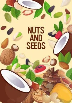 Set different nuts and seeds composition healthy vegetarian food concept Stock Illustration