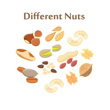 Set of different nuts Stockillustratie