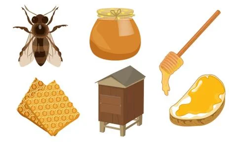 Set of different objects of honey production vector illustration Stock Illustration