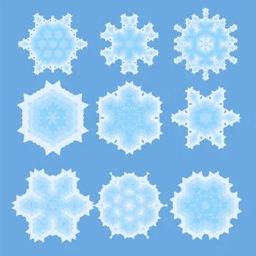 Set of Different Ornamental Rosettes Set of Different Ornamental Rosettes ... 写真素材