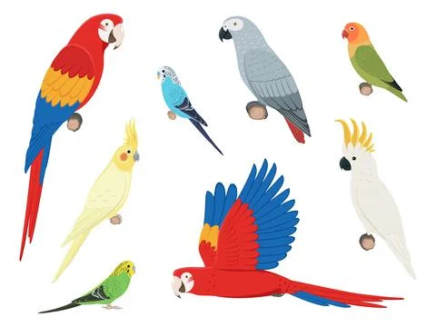 Set of different parrots Illustrazione stock