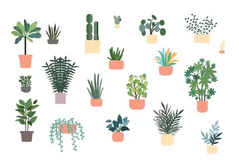 Set of different plants in pots, vector graphics Stock Illustration