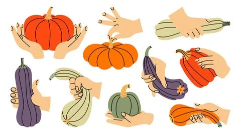 Set of different positions of human hands holding pumpkins, squash, gourds. 스톡 일러스트