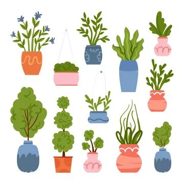 Set of different potted plants and trees Illustration