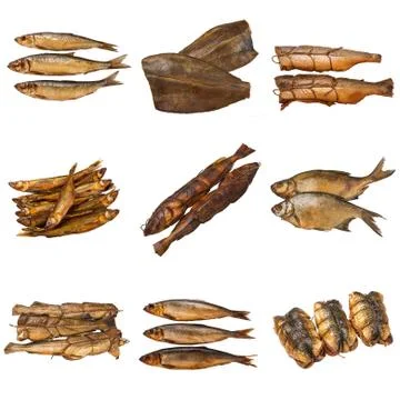 Set of a different preserved fish Stock Photos