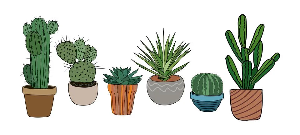 Set of different prickly desert plants cactuses. Stock Illustration