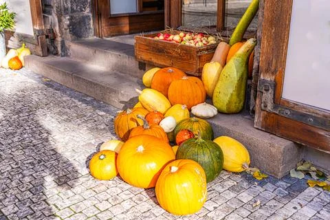Set different pumpkins on the doorstep. Halloween and Thanksgiving decoration Foto stock